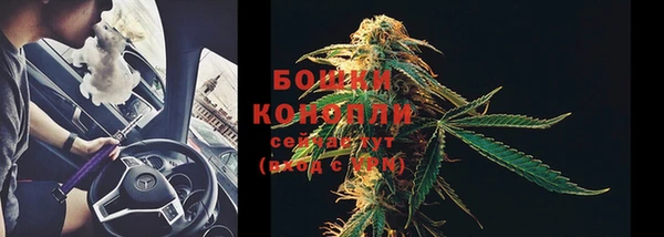 гашик Вязьма