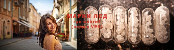гашик Вязьма