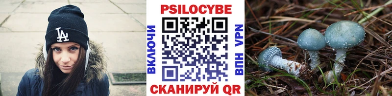 Псилоцибиновые грибы прущие грибы  Болохово 